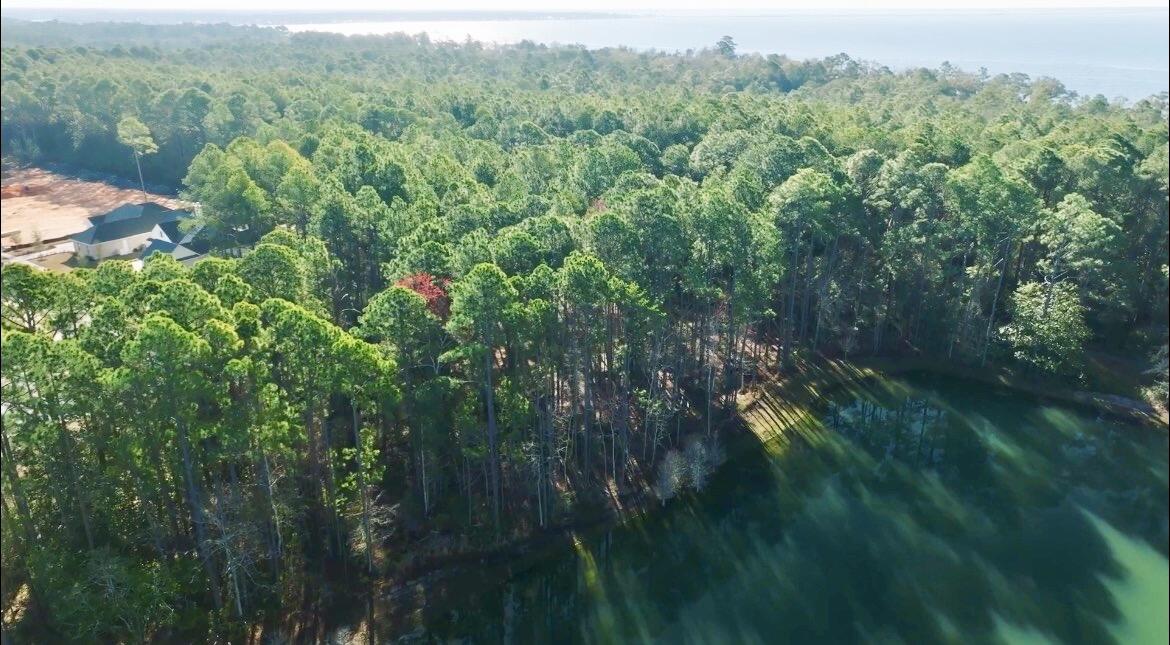 Lot 25 West Captain Fritz Way Freeport, FL 32439 - Photo 7 of 20 Residential Wooded Lot