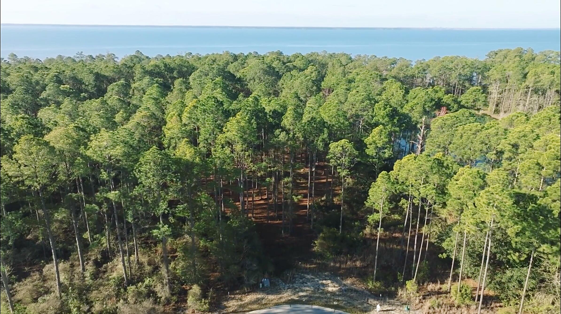 Lot 25 West Captain Fritz Way Freeport, FL 32439 - Photo 8 of 20 Residential Wooded Lot