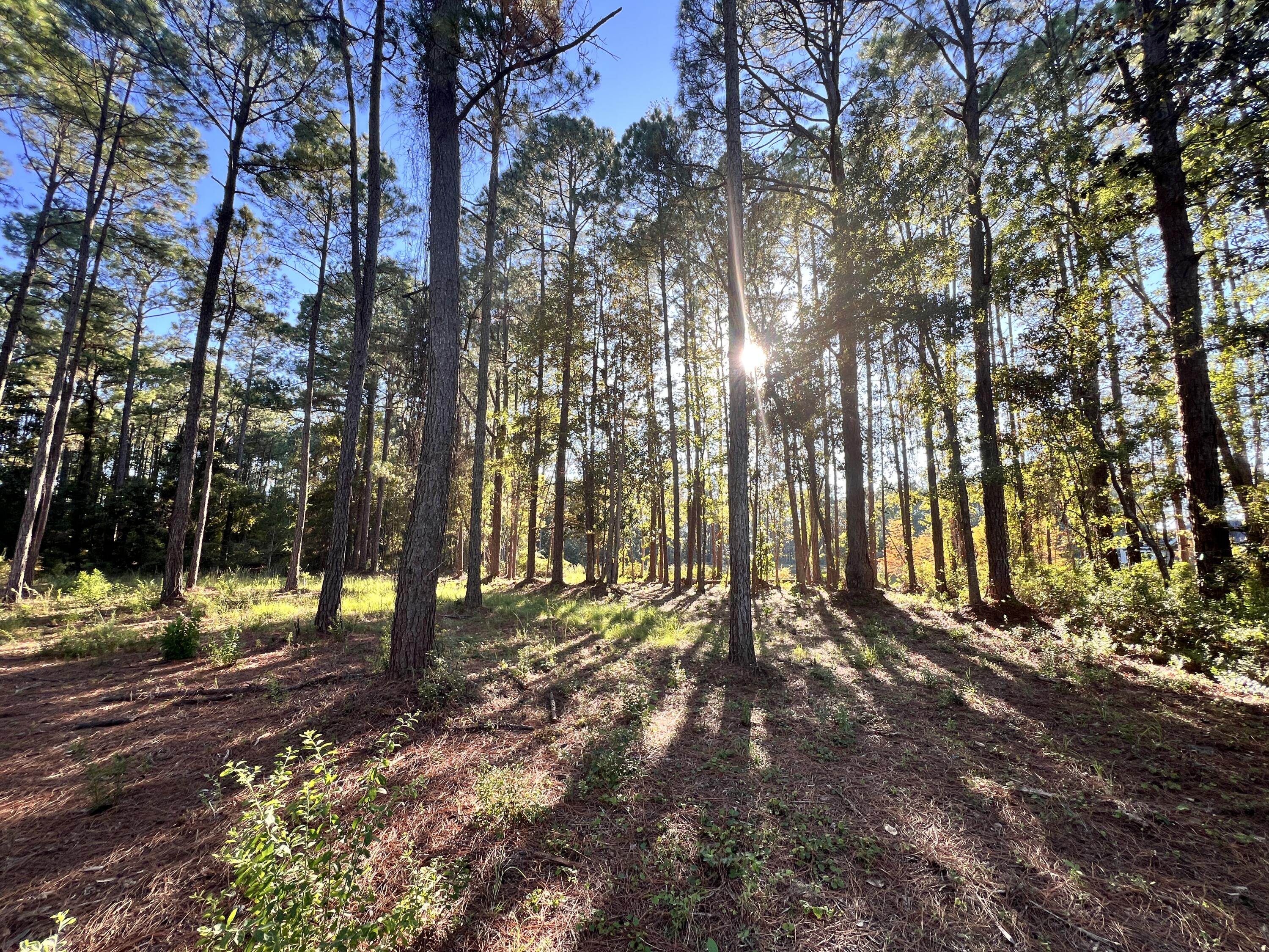 Lot 25 West Captain Fritz Way Freeport, FL 32439 - Photo 9 of 20 Buildable Lot