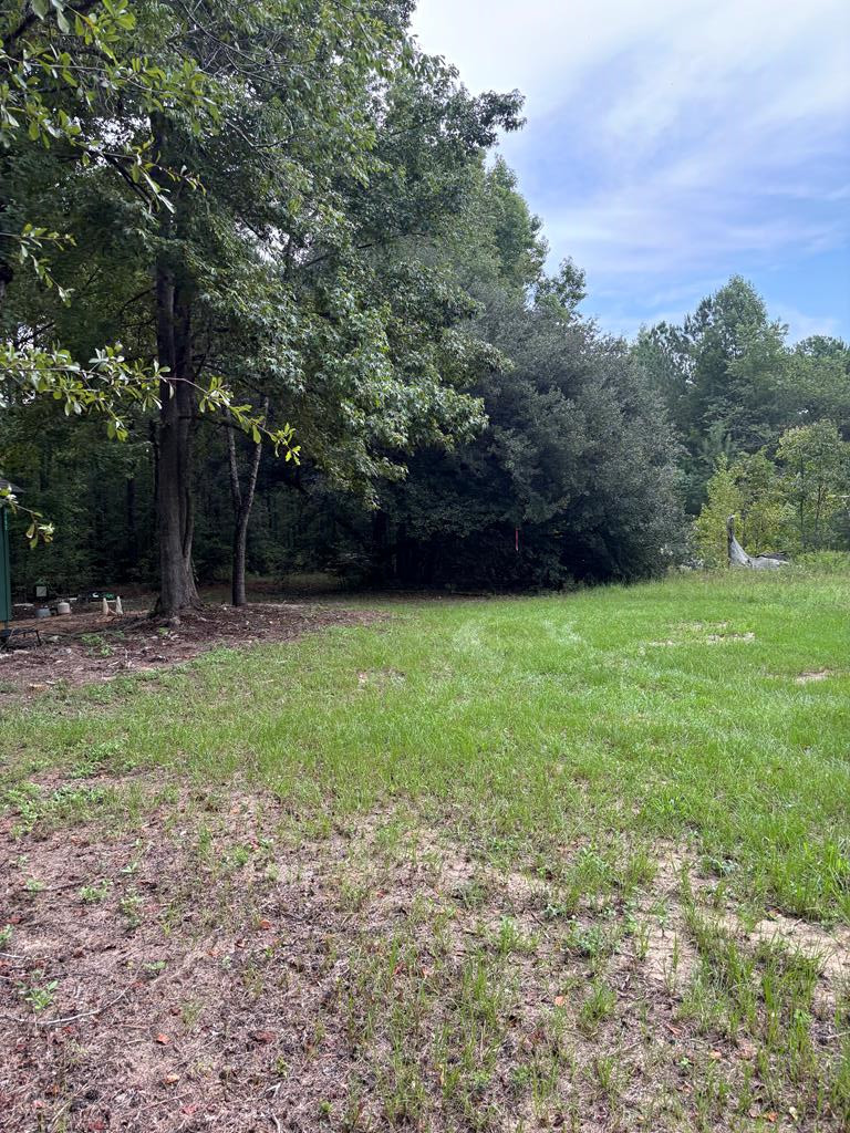 3152 Corbett Road Pinewood, SC 29125 - Photo 6 of 14