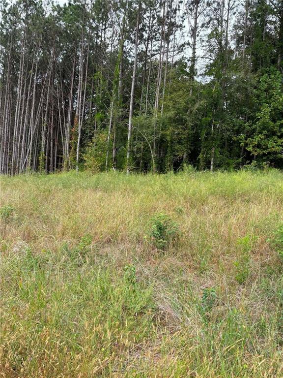 5311 Woodstock Road Acworth, GA 30102 - Photo 2 of 9 Gallery Image 2