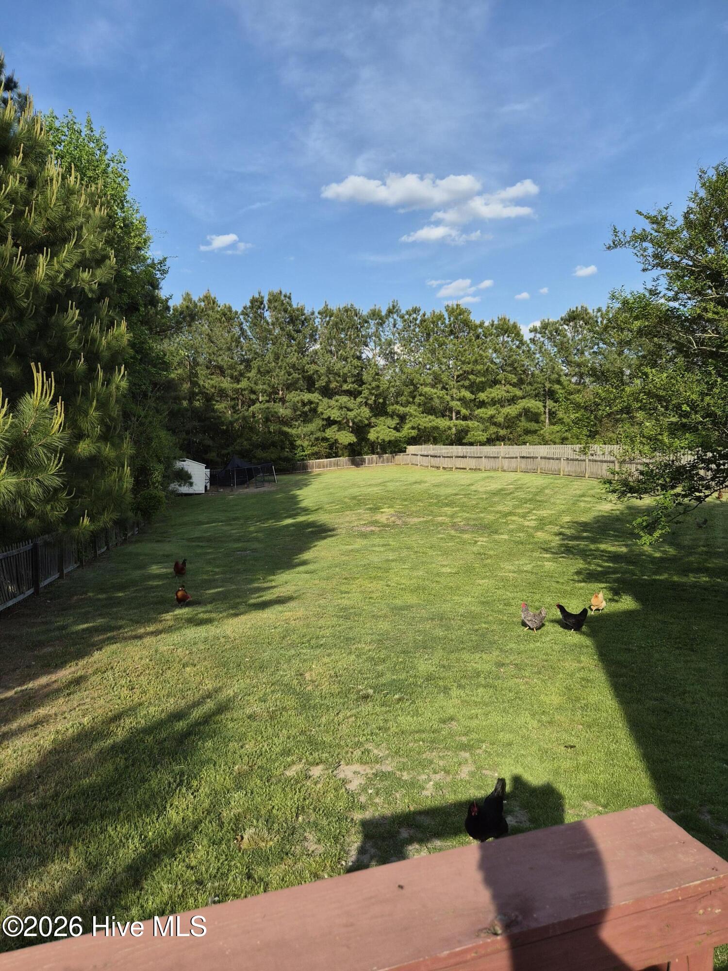 228 Rutherford Way Jacksonville, NC 28540 - Photo 25 of 25 20260417_172951