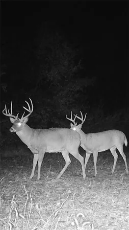 $875,868 | 104-ac Northwest 104-ac Nw Graves Road, Gower, MO 64454