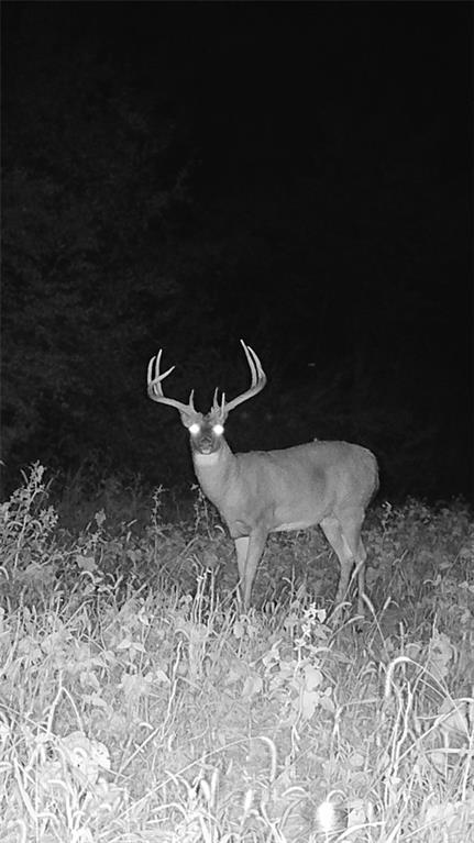 104-ac Northwest 104-ac Nw Graves Road Gower, MO 64454 - Photo 14 of 19