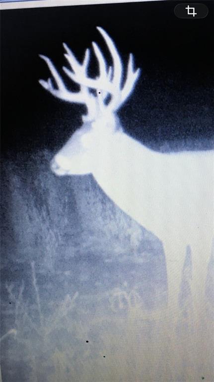 104-ac Northwest 104-ac Nw Graves Road Gower, MO 64454 - Photo 15 of 19