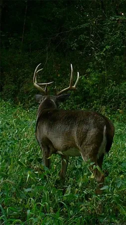 $875,868 | 104-ac Northwest 104-ac Nw Graves Road, Gower, MO 64454