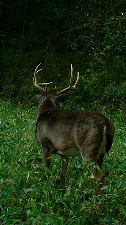 104-ac Northwest 104-ac Nw Graves Road Gower, MO 64454 - Photo 16 of 19