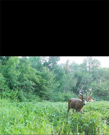 104-ac Northwest 104-ac Nw Graves Road Gower, MO 64454 - Photo 17 of 19