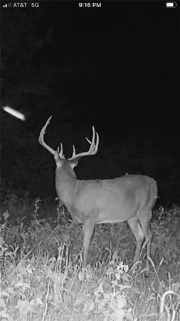 $875,868 | 104-ac Northwest 104-ac Nw Graves Road, Gower, MO 64454