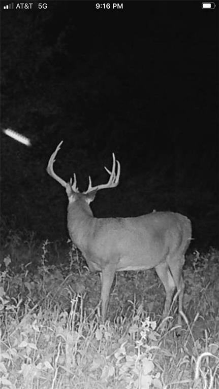 104-ac Northwest 104-ac Nw Graves Road Gower, MO 64454 - Photo 18 of 19