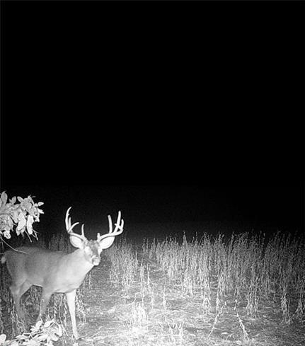 104-ac Northwest 104-ac Nw Graves Road Gower, MO 64454 - Photo 19 of 19