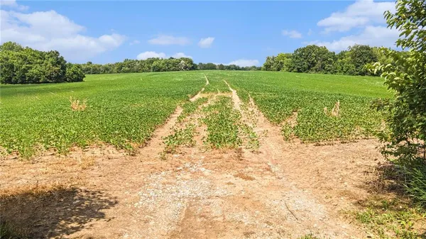 $875,868 | 104-ac Northwest 104-ac Nw Graves Road, Gower, MO 64454