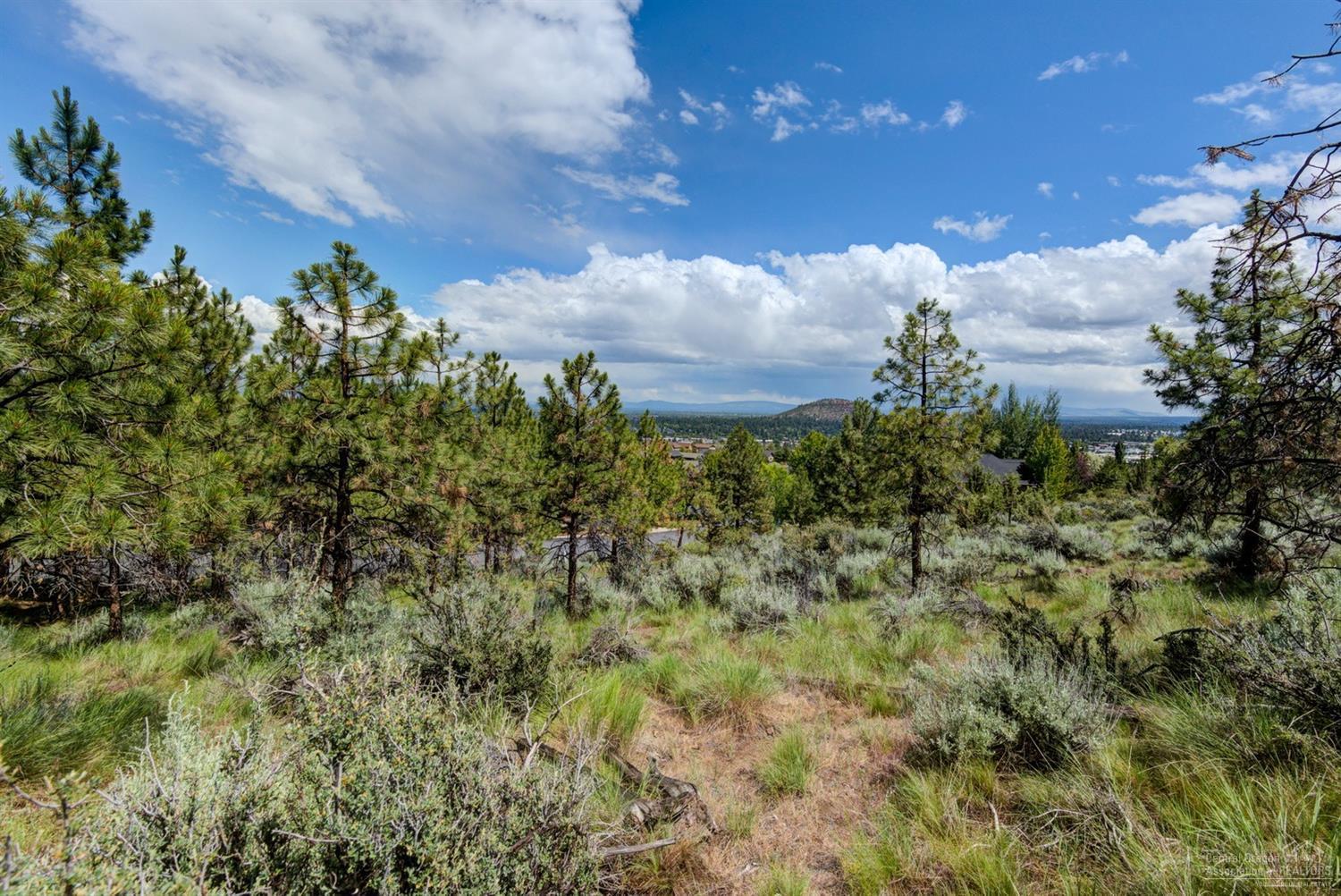 658 Northwest Powell Butte Loop Bend, OR 97703 - Photo 4 of 12 Additional Photo