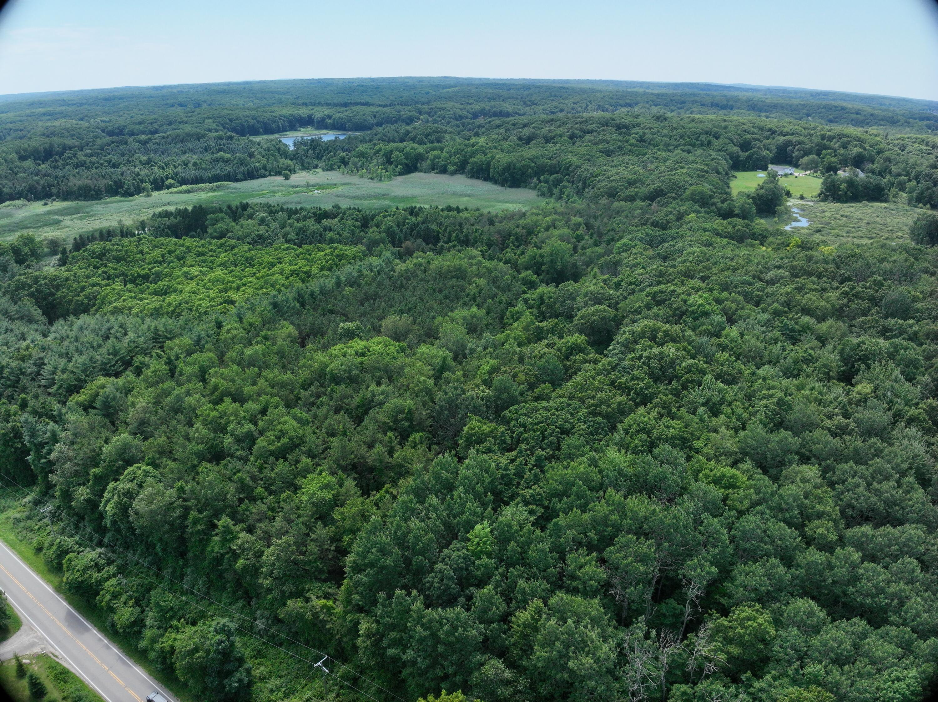 0 Lasher Road Dryden, MI 48428 - Photo 19 of 22 6
