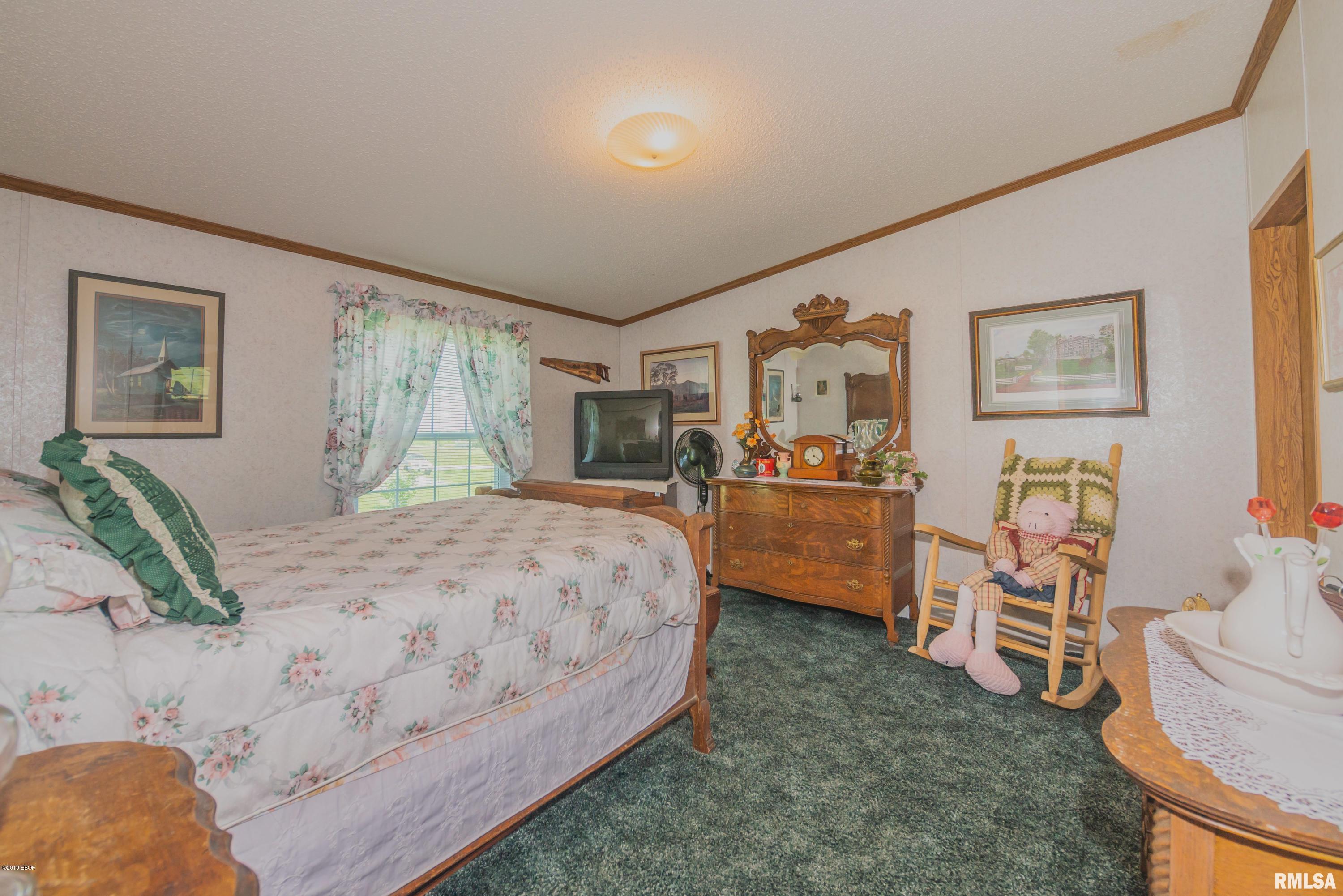 1162 Stacey Road Richview, IL 62877 - Photo 23 of 44