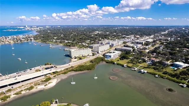 a view of a swimming pool and a couch