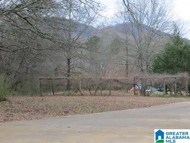 1566 Jackson Trace Road Talladega, AL 35160 - Photo 45 of 47