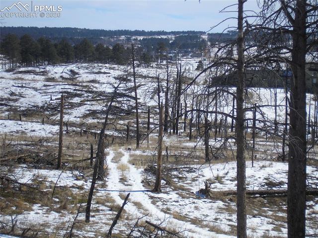 12975 Holmes Road Colorado Springs, CO 80908 - Photo 7 of 10