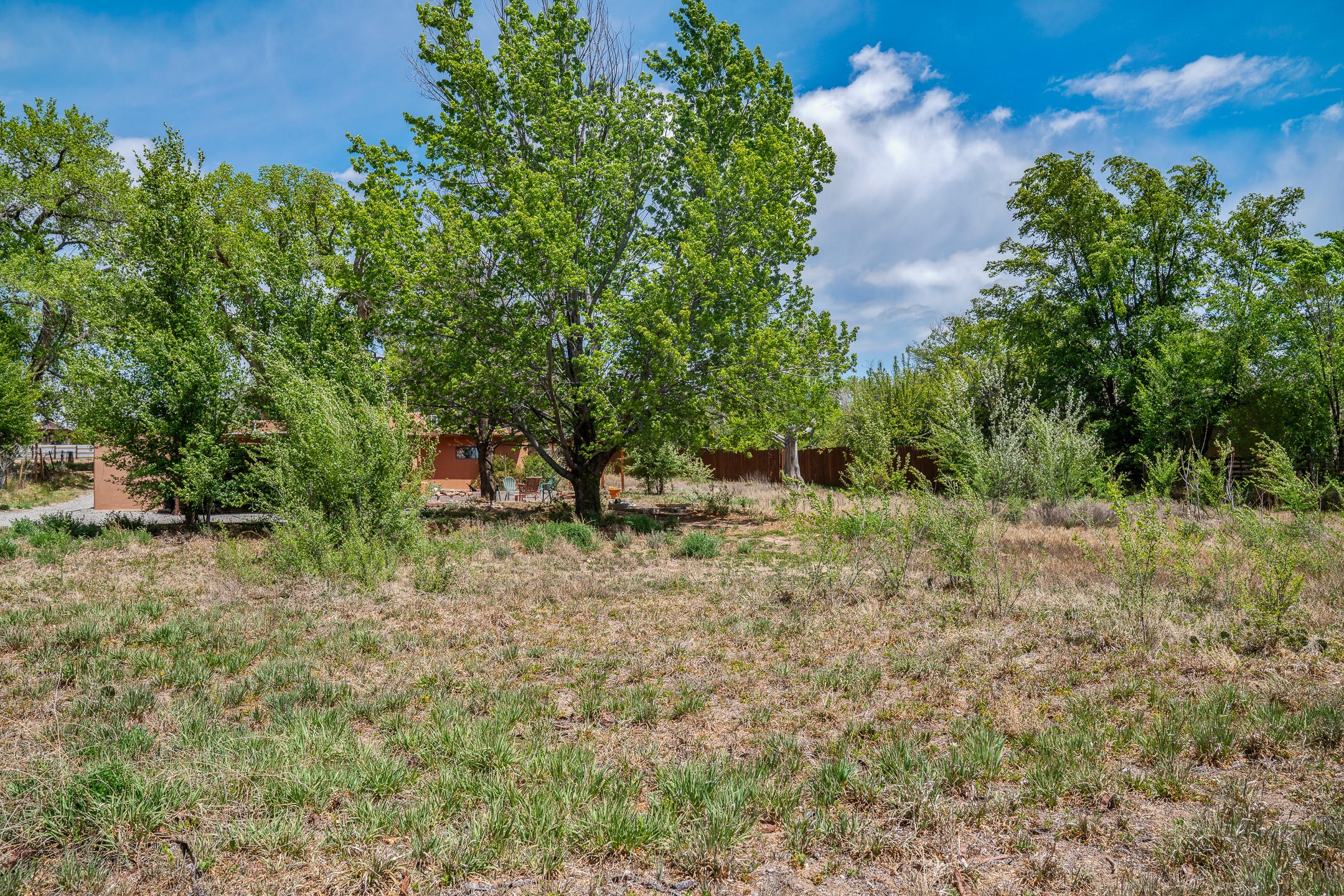 74 El Sitio Road Espanola, NM 87532 - Photo 50 of 56