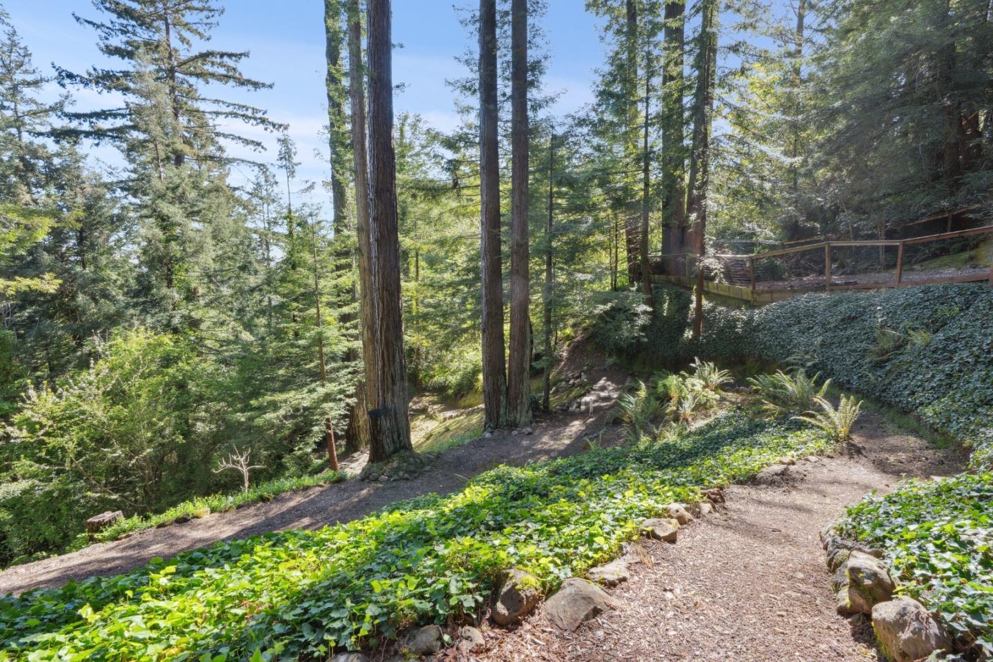 103 Harkins Road Woodside, CA 94062 - Photo 44 of 51