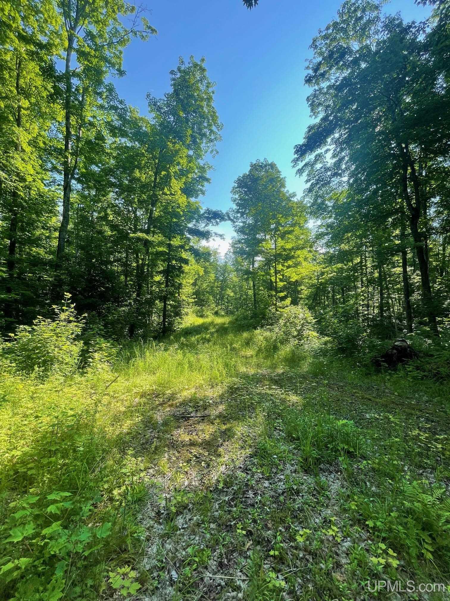 Tbd A Off Gay Road Lake Linden, MI 49945 - Photo 5 of 15