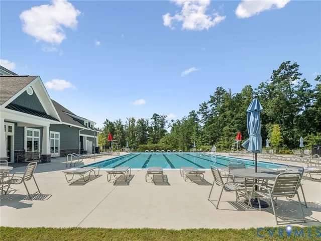 a park with tall trees