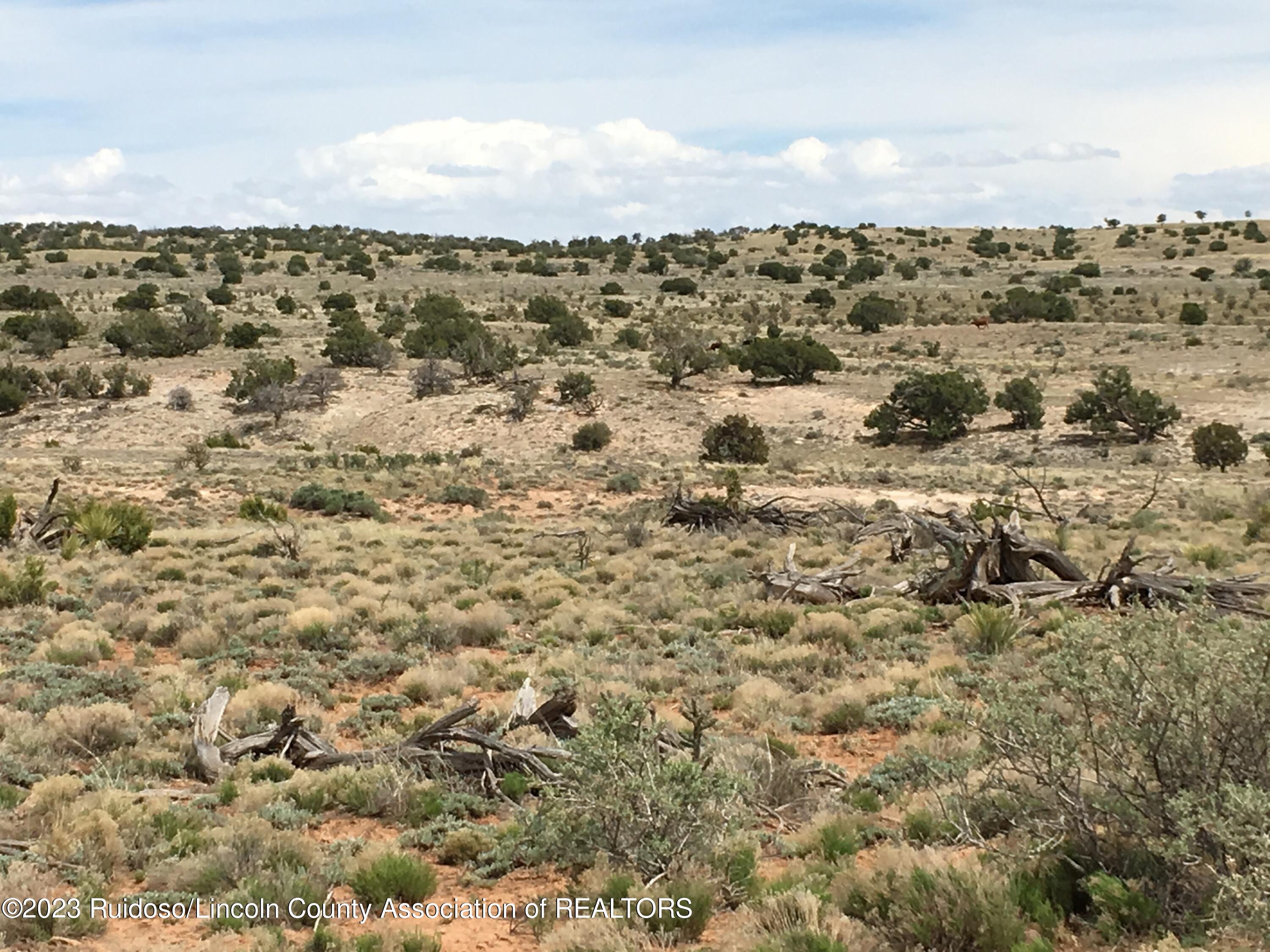 69 Fenceline Road Carrizozo, NM 88301 - Photo 3 of 6 Gallery Image 3