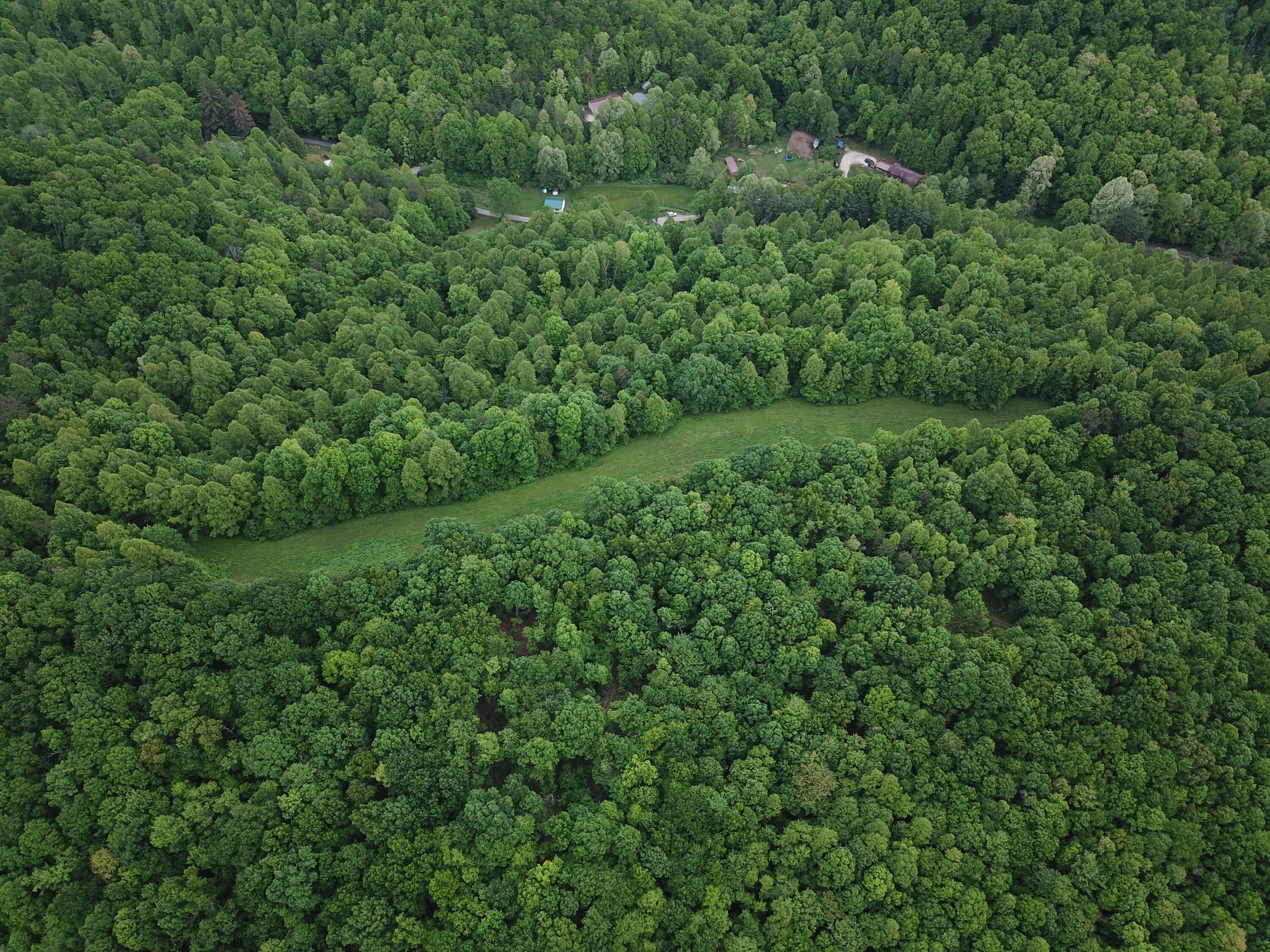 0 Van Hollow Road McKee, KY 40447 - Photo 8 of 11 DJI_0002