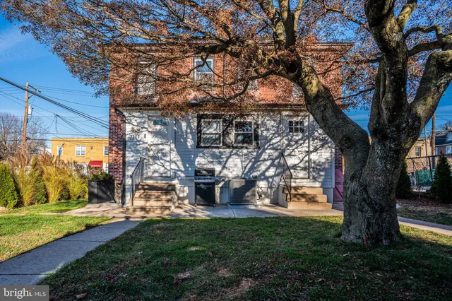 a view of a yard with plants and large trees