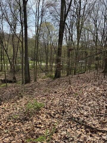 0 Walnut Dowler Road Logan, OH 43138 - Photo 6 of 12 6