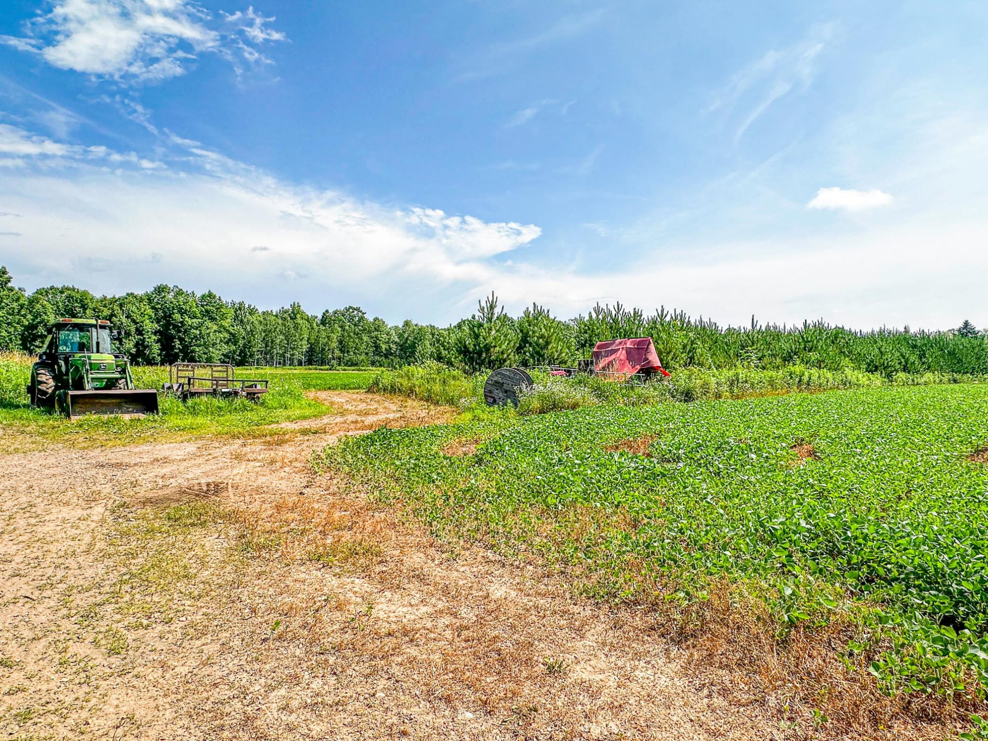 N4102 Noll Road Kennan, WI 54537 - Photo 90 of 99 Gallery Image 90