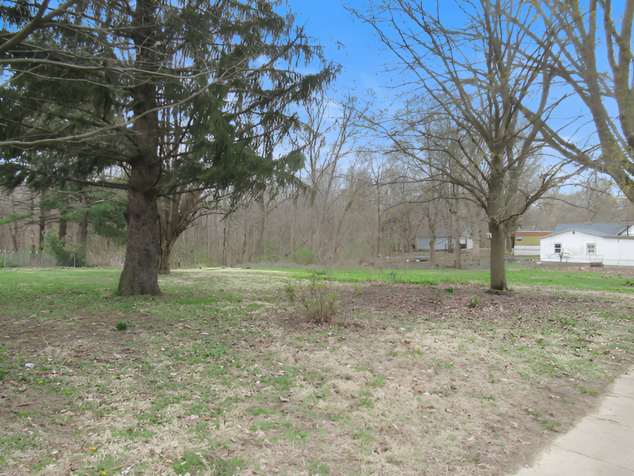11 Dequimpal Street Westville, IL 61883 - Photo 4 of 21 a view of a yard with a tree