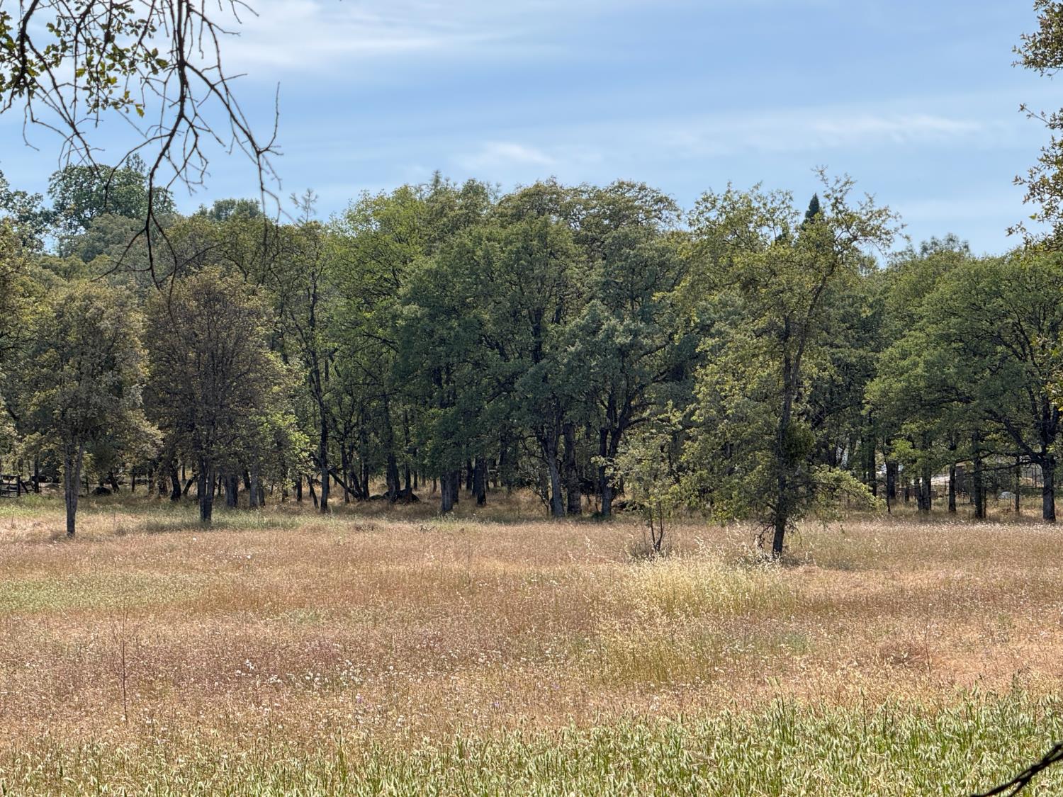 11168 Lone Star Road Auburn, CA 95602 - Photo 7 of 51