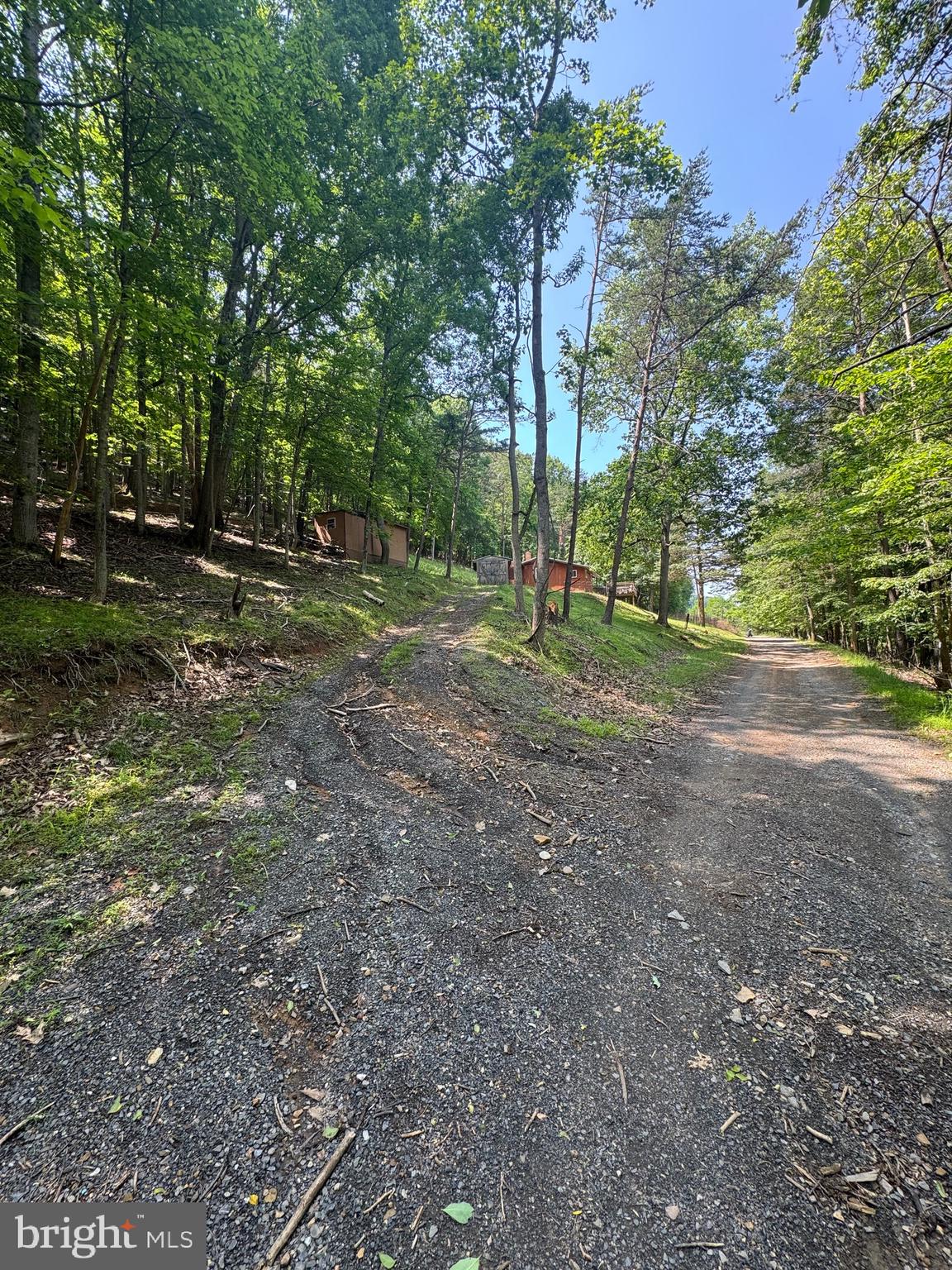 702 Sites Town Road Petersburg, WV 26847 - Photo 54 of 56 Gallery Image 54