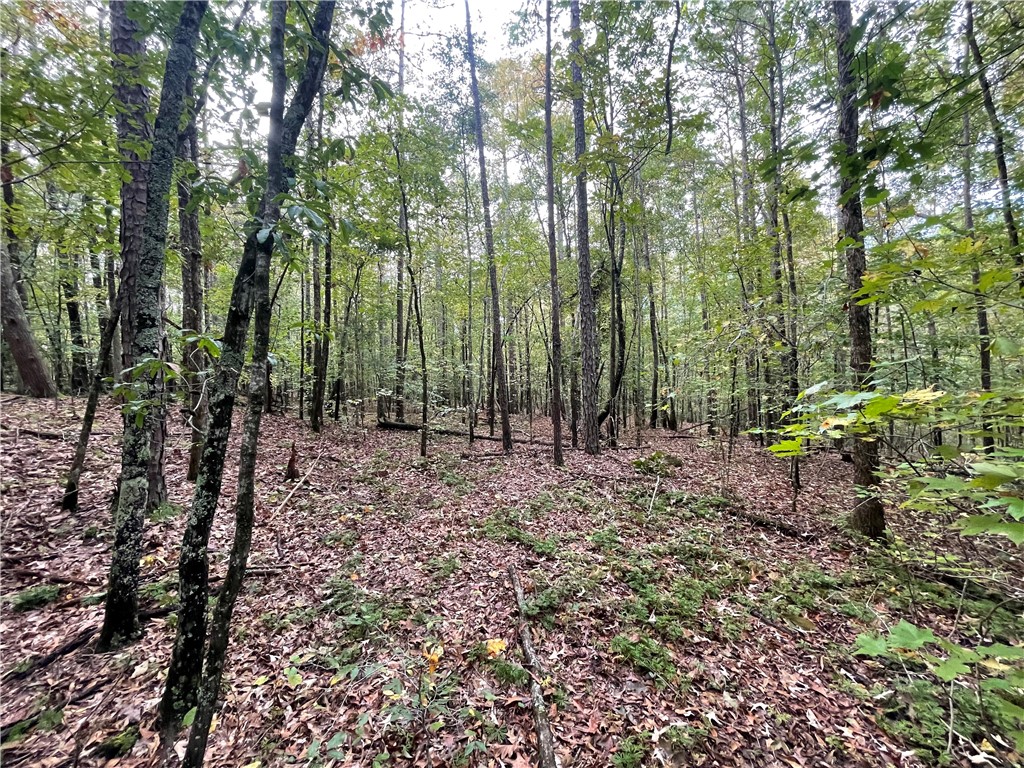 0 Boseman Road Anderson, SC 29621 - Photo 12 of 22 Gallery Image 12