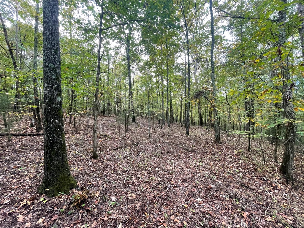 0 Boseman Road Anderson, SC 29621 - Photo 13 of 22 Gallery Image 13