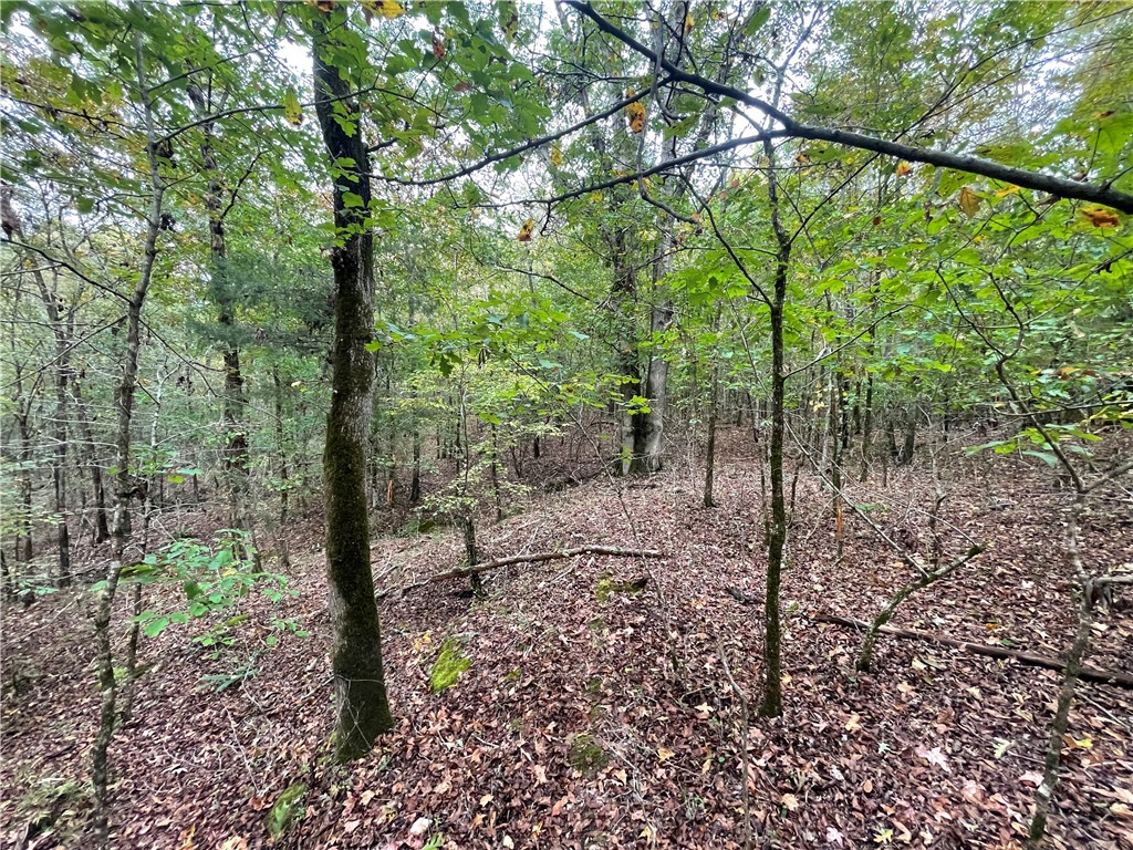 0 Boseman Road Anderson, SC 29621 - Photo 14 of 22 Gallery Image 14