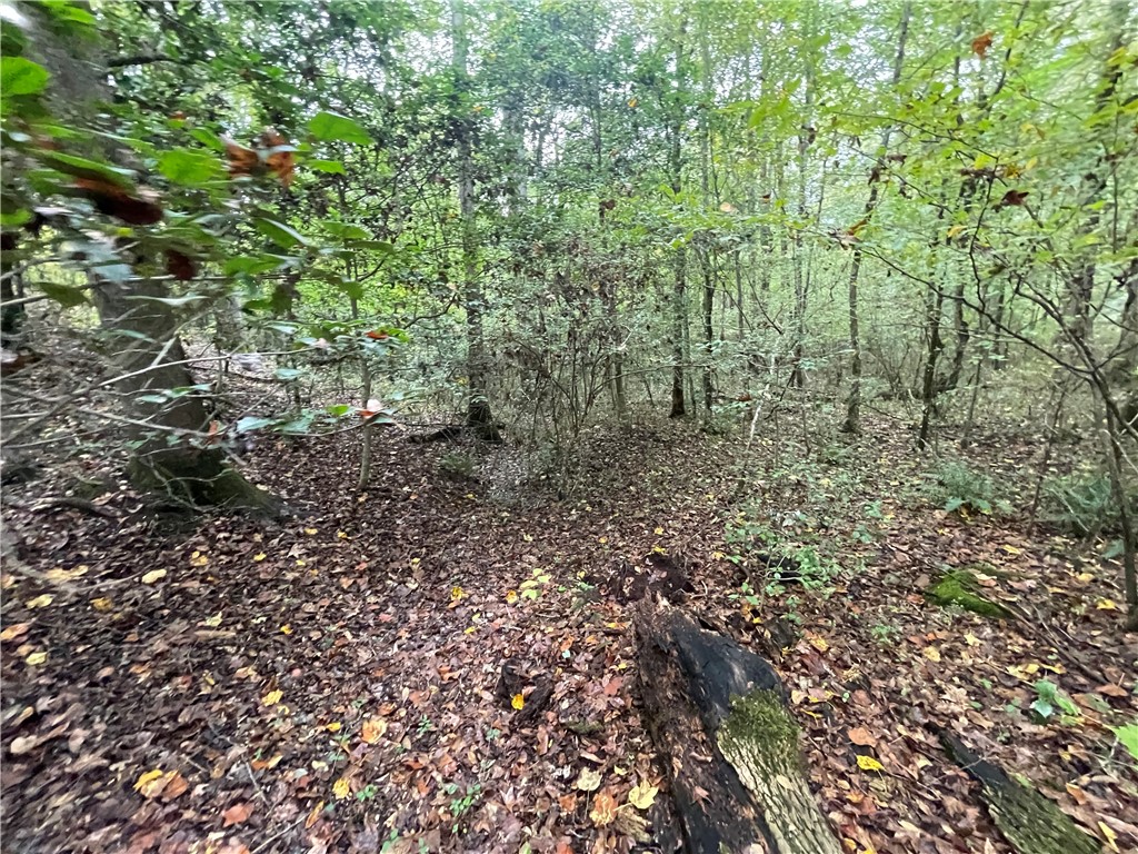 0 Boseman Road Anderson, SC 29621 - Photo 16 of 22 Gallery Image 16