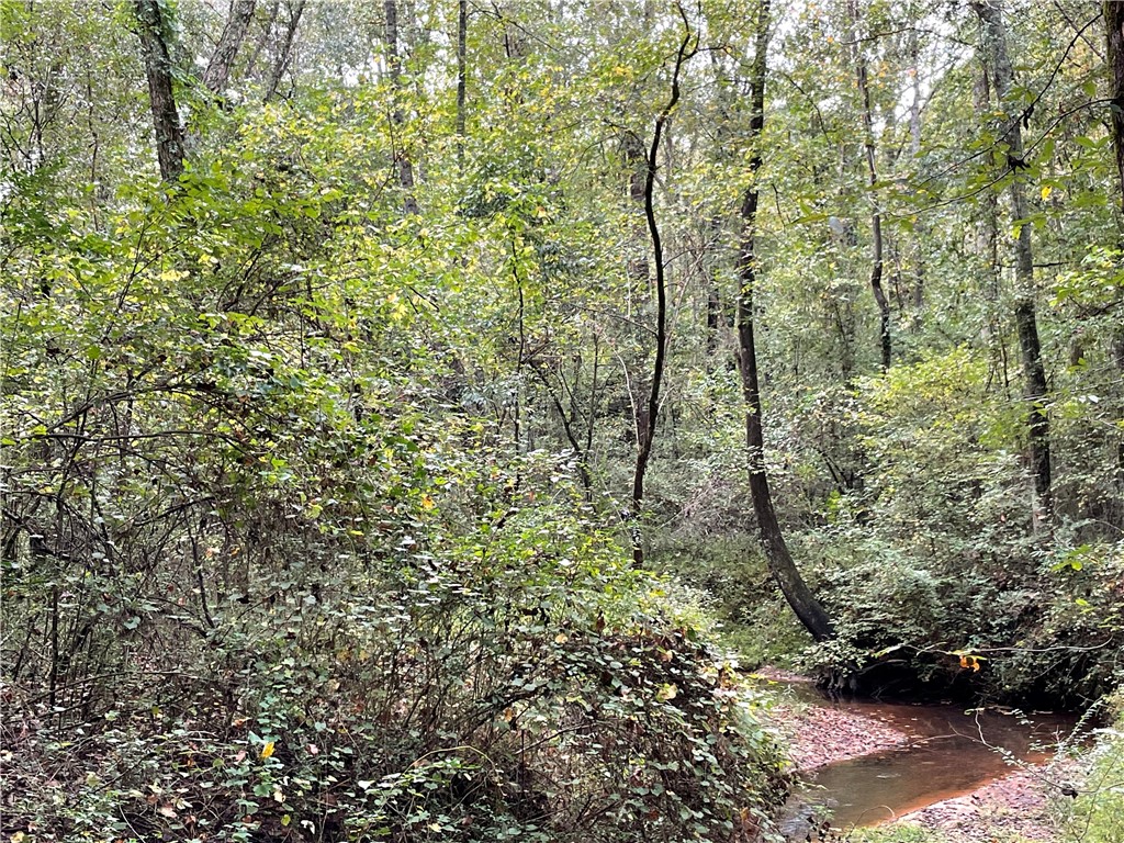 0 Boseman Road Anderson, SC 29621 - Photo 19 of 22 Gallery Image 19