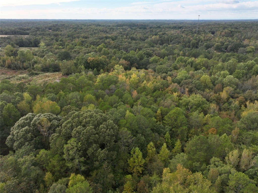 0 Boseman Road Anderson, SC 29621 - Photo 2 of 22 Gallery Image 2
