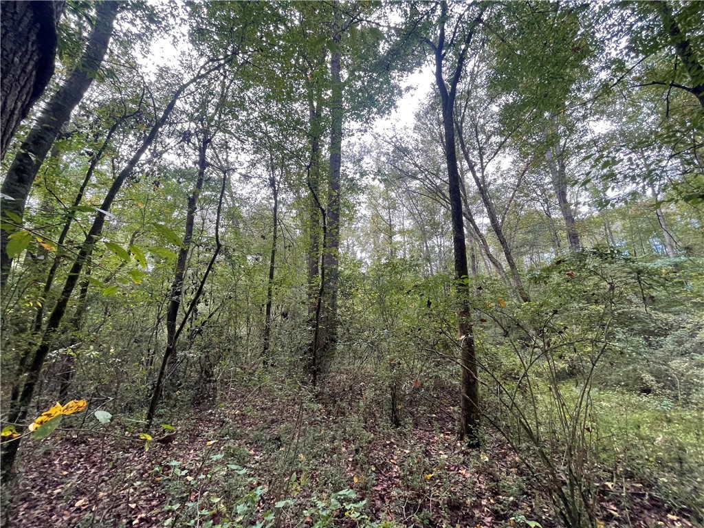0 Boseman Road Anderson, SC 29621 - Photo 21 of 22 Gallery Image 21