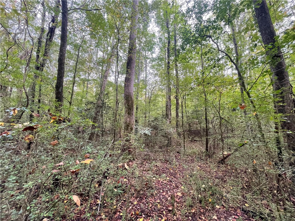 0 Boseman Road Anderson, SC 29621 - Photo 22 of 22 Gallery Image 22