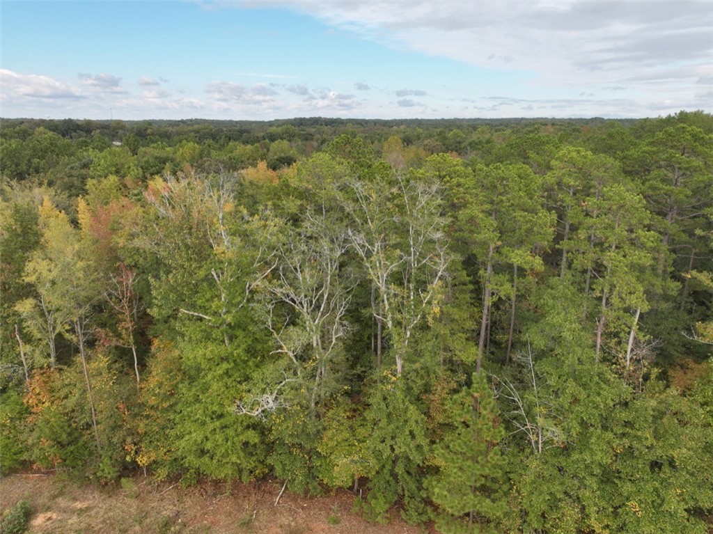0 Boseman Road Anderson, SC 29621 - Photo 4 of 22 Gallery Image 4