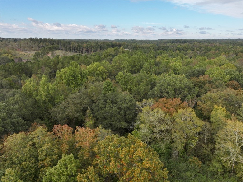 0 Boseman Road Anderson, SC 29621 - Photo 5 of 22 Gallery Image 5