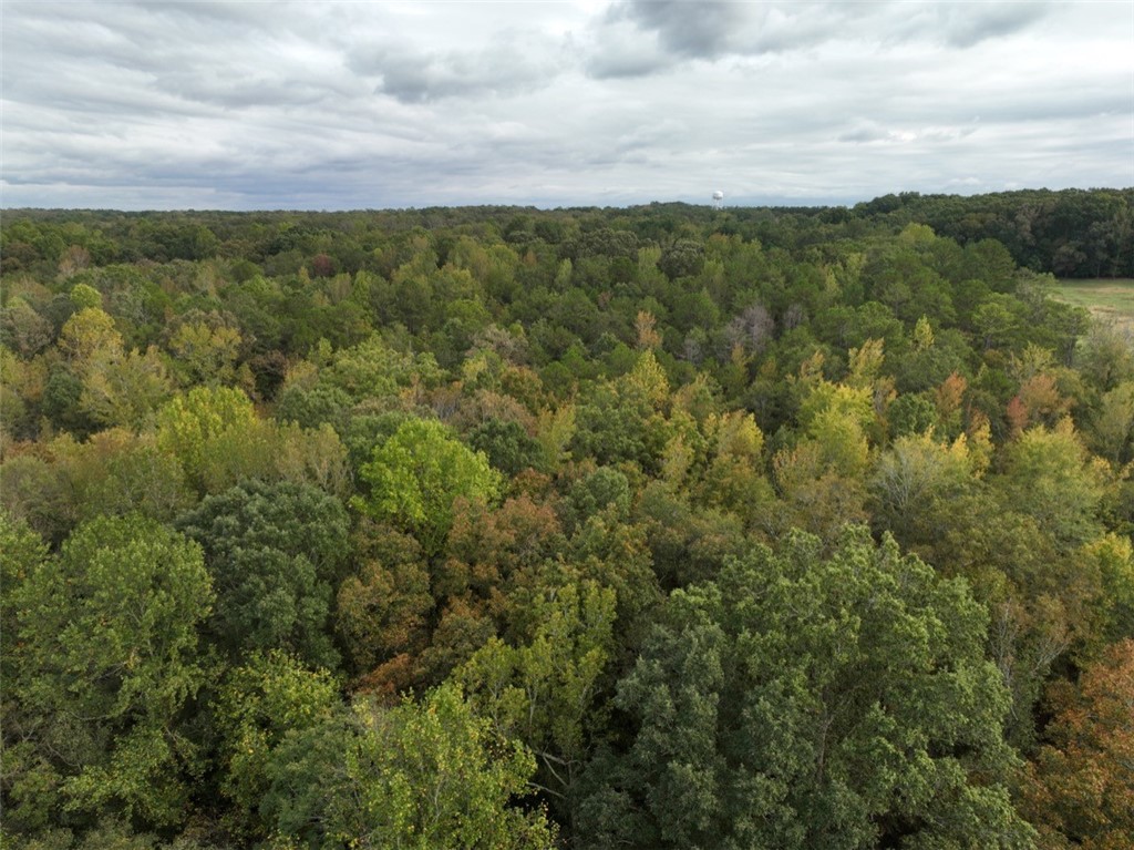 0 Boseman Road Anderson, SC 29621 - Photo 7 of 22 Gallery Image 7
