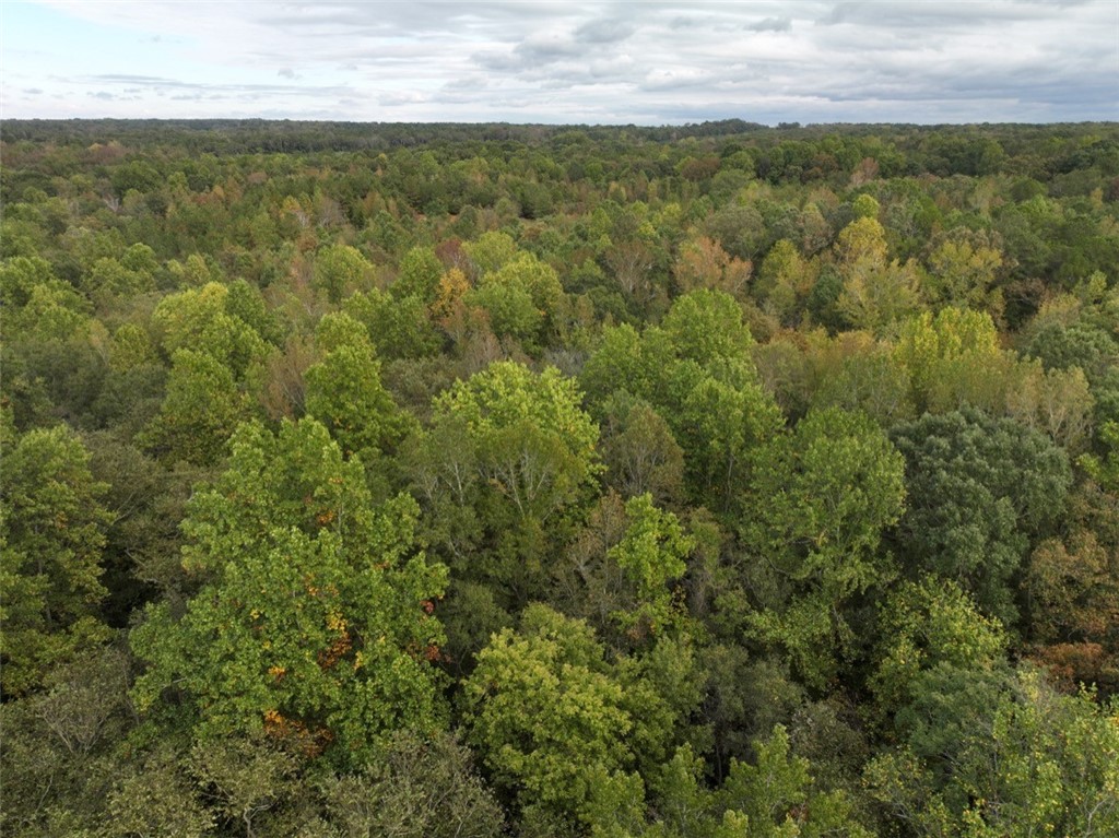 0 Boseman Road Anderson, SC 29621 - Photo 8 of 22 Gallery Image 8