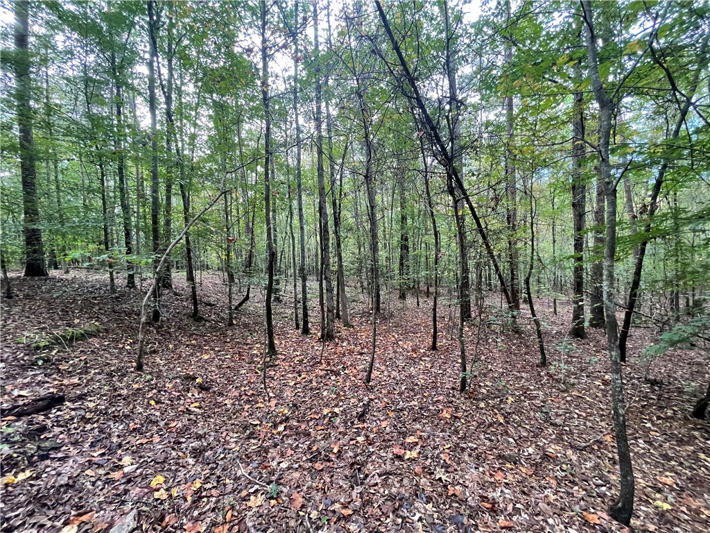 0 Boseman Road Anderson, SC 29621 - Photo 9 of 22 Gallery Image 9