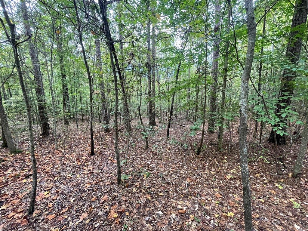 0 Boseman Road Anderson, SC 29621 - Photo 10 of 22 Gallery Image 10