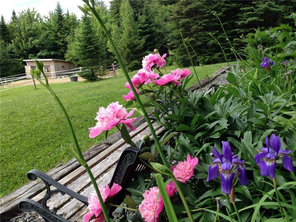 22 Priest Hill Road Guilford, ME 04443 - Photo 5 of 12 Photo