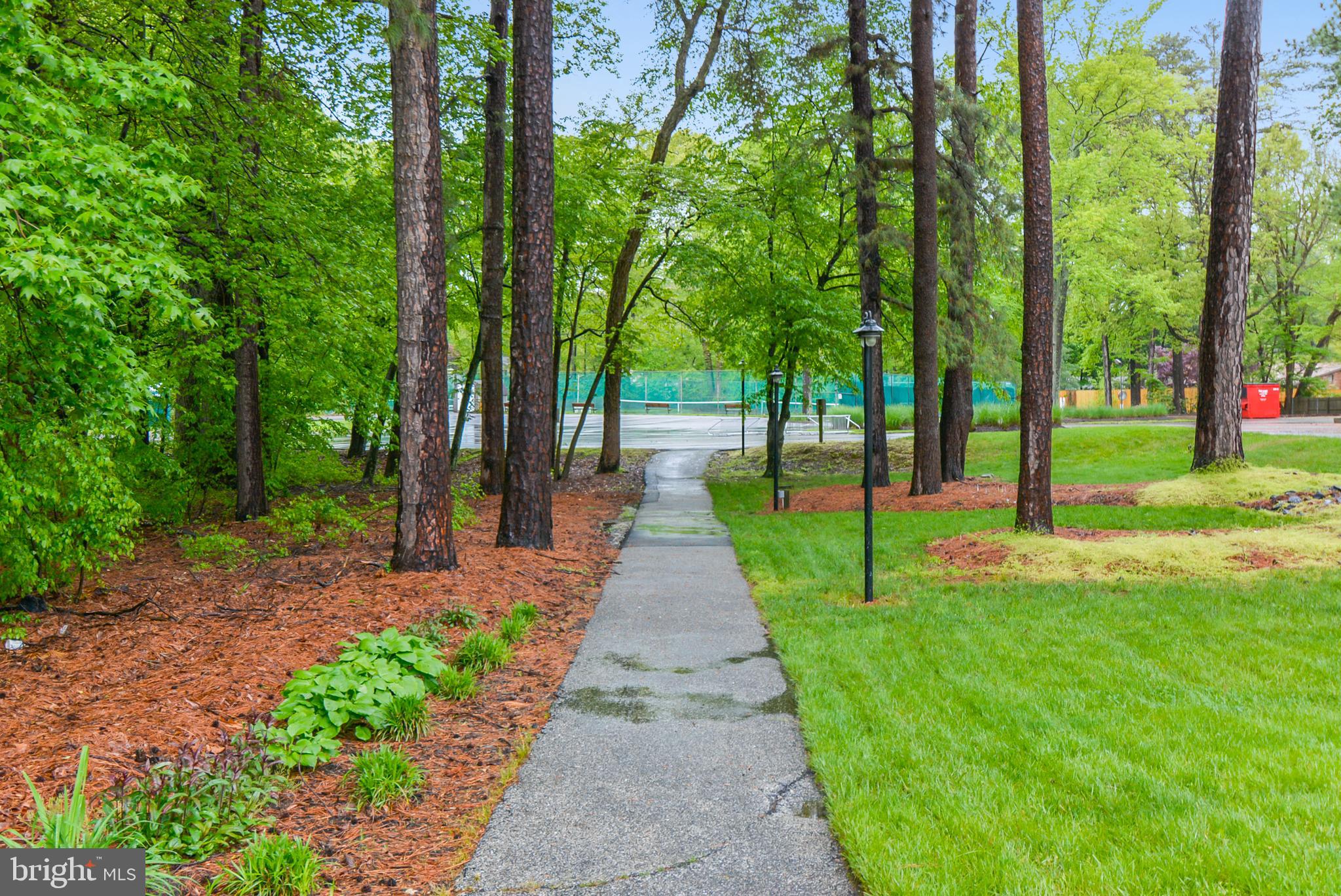 1711 Peartree Lane Crofton, MD 21114 - Photo 61 of 65 a view of a park with large trees